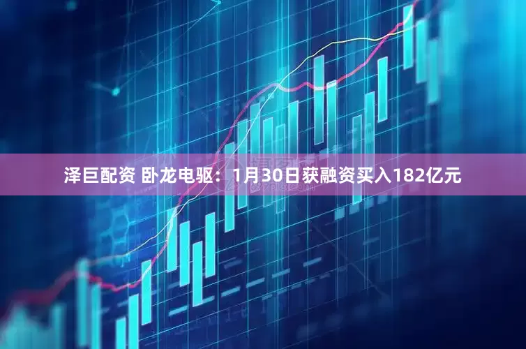 泽巨配资 卧龙电驱：1月30日获融资买入182亿元